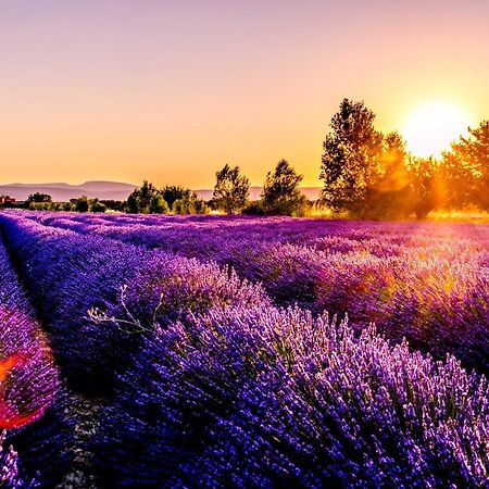 Chez Marius Gordes Vue Panoramique Sur Luberon Apartment Екстериор снимка
